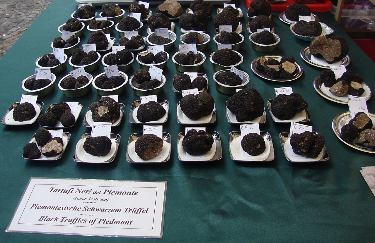 Black Truffles - Fiera del Tartufo - Alba - Province of Cuneo, Italy - 21 Nov. 2010