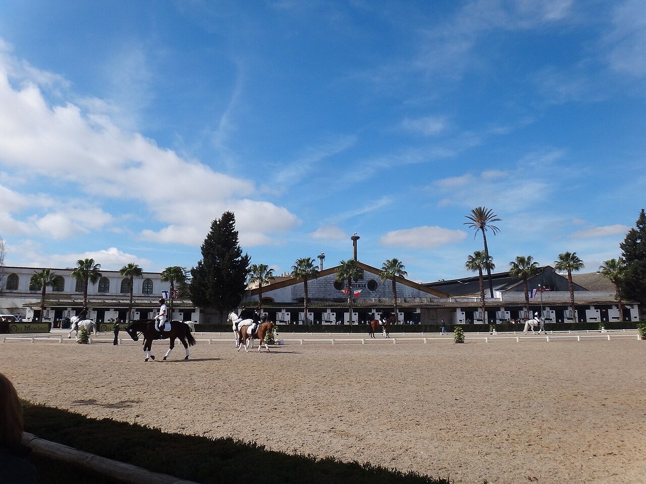 Royal Andalusian School