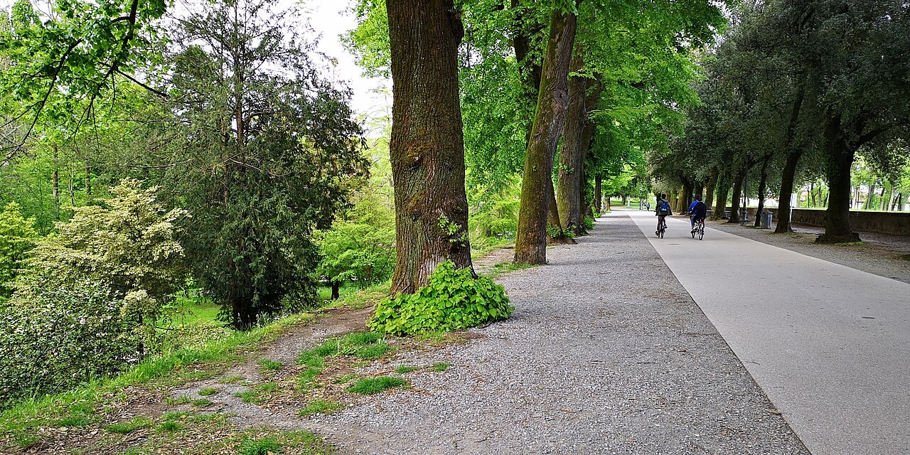 Lucca walls