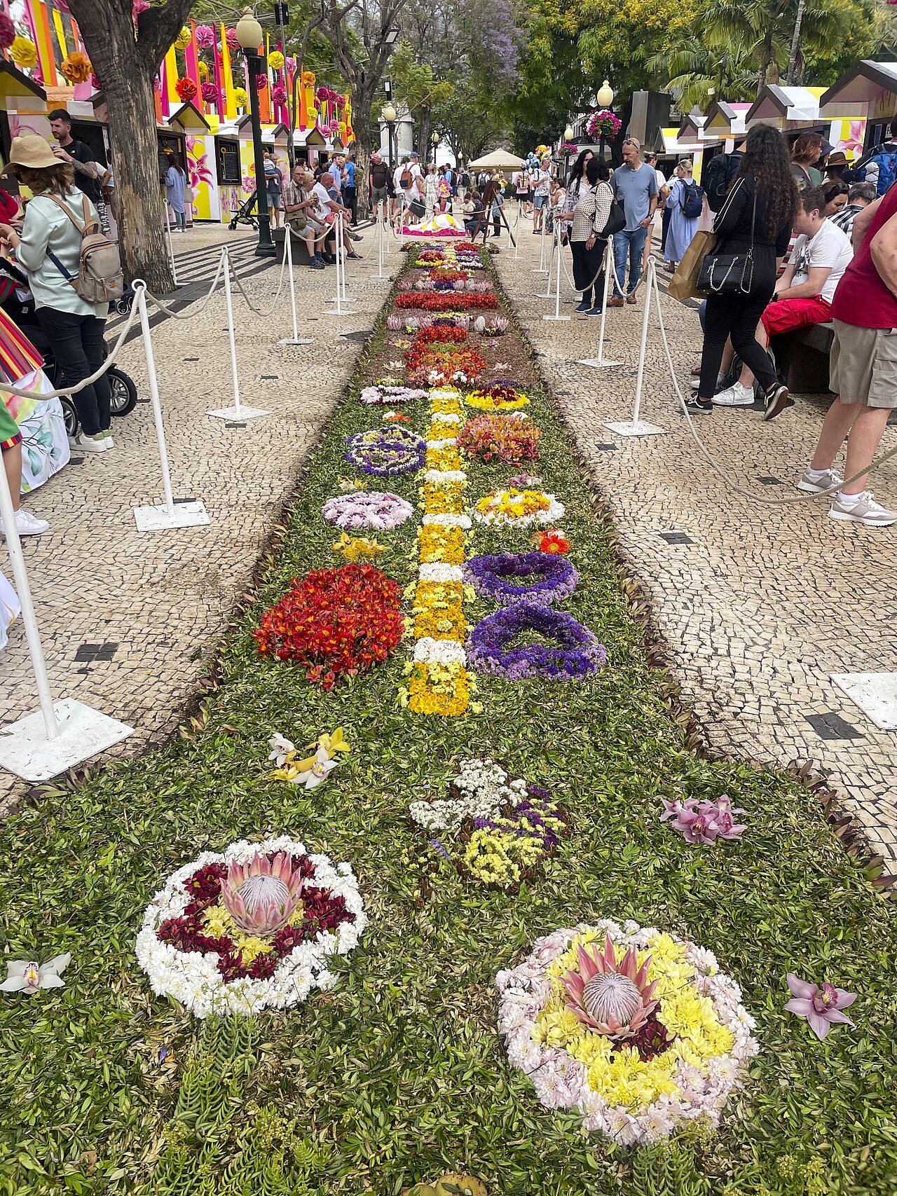 Madeira Flower Festival · Flower carpet